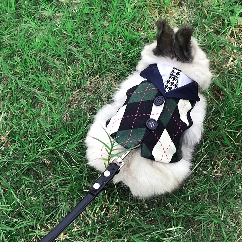 Conjunto de arnés y correa para conejos de estilo pijo para conejos, conejitos, animales pequeños, suministros para caminar al aire libre, chaleco de conejito, ropa - imagen 4