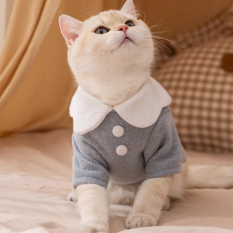 Camisa fina de otoño para perro, jerseys con estampado de oso para mascotas, camisa de fondo para cachorro a la moda, camiseta interior suave y cálida para gato, chaleco para Chihuahua, ropa para perros - imagen 4