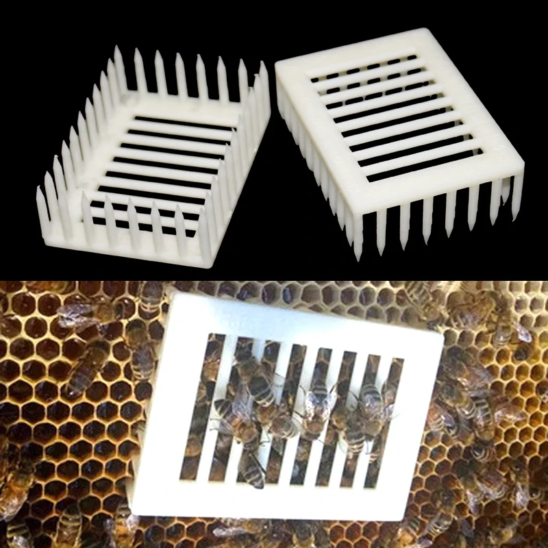 Jaula de plástico Queen Imprison Prisoner Apis Mellifera Apiaary Insert Honeycomb Colive tipo aguja Colony Worker Spado Bee Tools