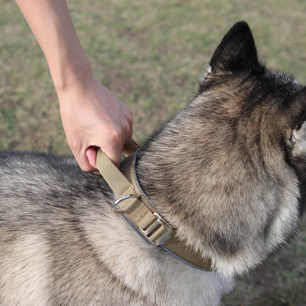 Collar de perro reflectante táctico ajustable con acolchado para perros medianos a grandes suministros para mascotas al aire libre Universal para las cuatro estaciones - imagen 4
