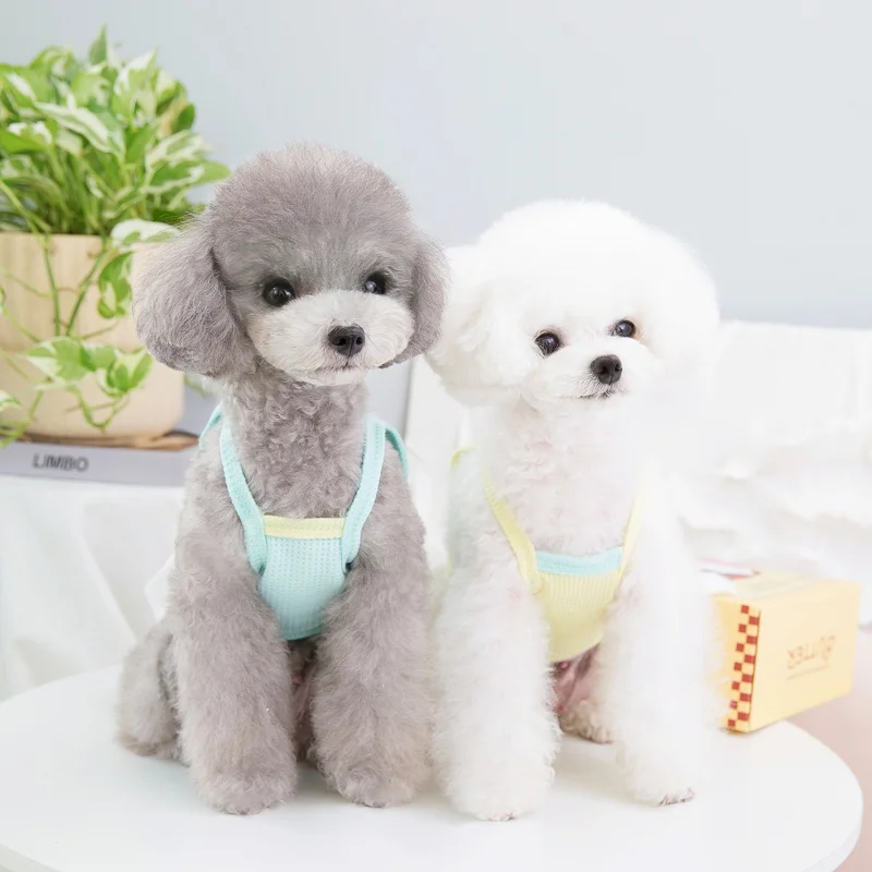 Vestido para mascotas de primavera y verano, falda de princesa, arnés de Navidad, cuerda de tracción, abrigo para perros pequeños, ropa de vacaciones para cachorros, caniche Yorkie - imagen 4