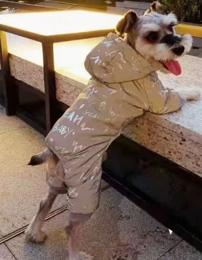 Mono reflectante para Schnauzer - Traje de invierno para perros - imagen 5