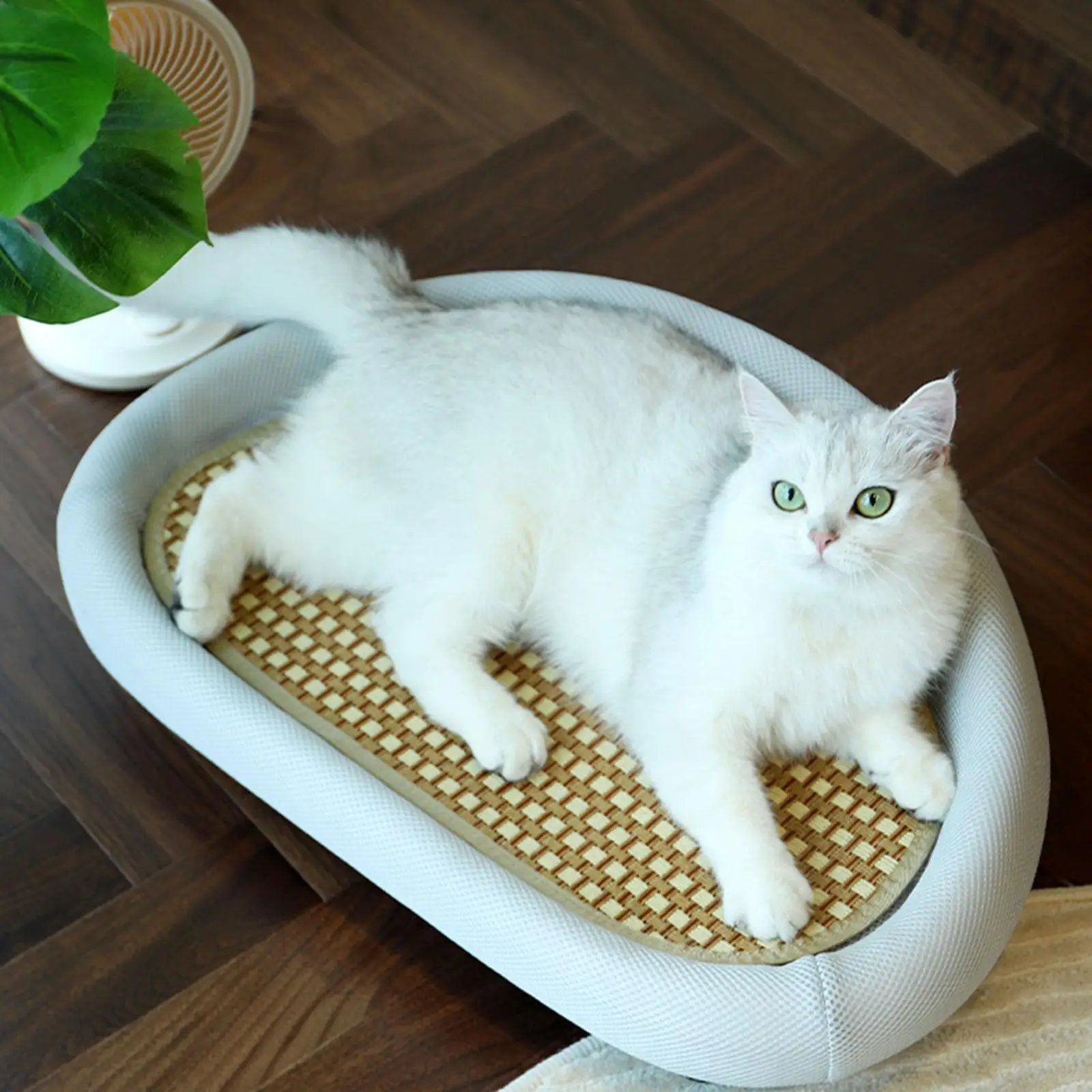 Cat Scratching Board Bed Couch with Raised Edge Comfortable Anti Slip Feet