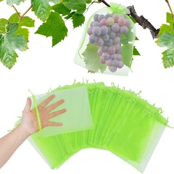 Bolsas protectoras para uvas y frutos - malla antipajaros para jardin