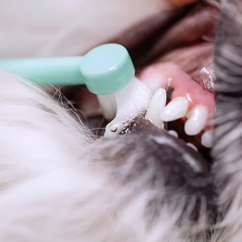 Cepillo de dientes para mascotas, Mini cepillo de cabeza para limpieza de dientes de perro, pelo cómodo, productos para el cuidado bucal - imagen 2