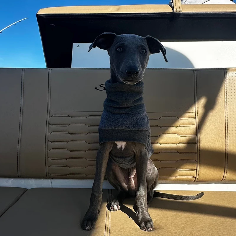Chaleco de cuello alto para mascotas, ropa cálida de tela de alta calidad, Galgo Italiano, gris, pequeño, mediano, grande, Otoño e Invierno - imagen 2