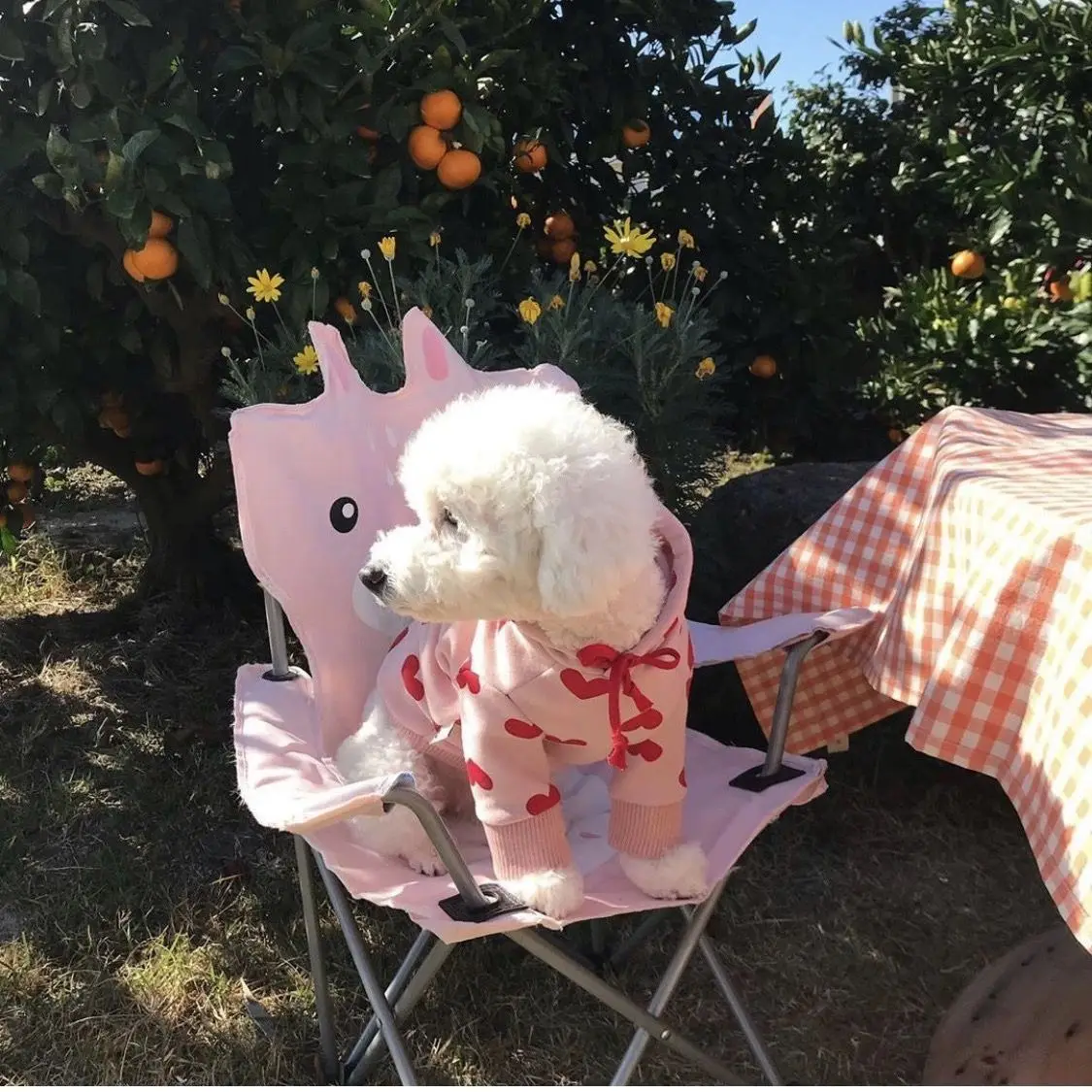 Sudadera con capucha de invierno para mascotas con estampado de corazones y sudadera con capucha de lana para mascotas pequeñas (bichon Frise, Pomerania, perro de peluche, gato - imagen 3