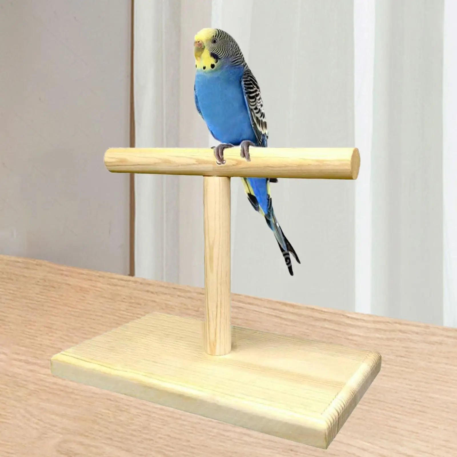 Bird Training Stand Stable Bird Perch Stand for Parakeets Parrots Lovebirds