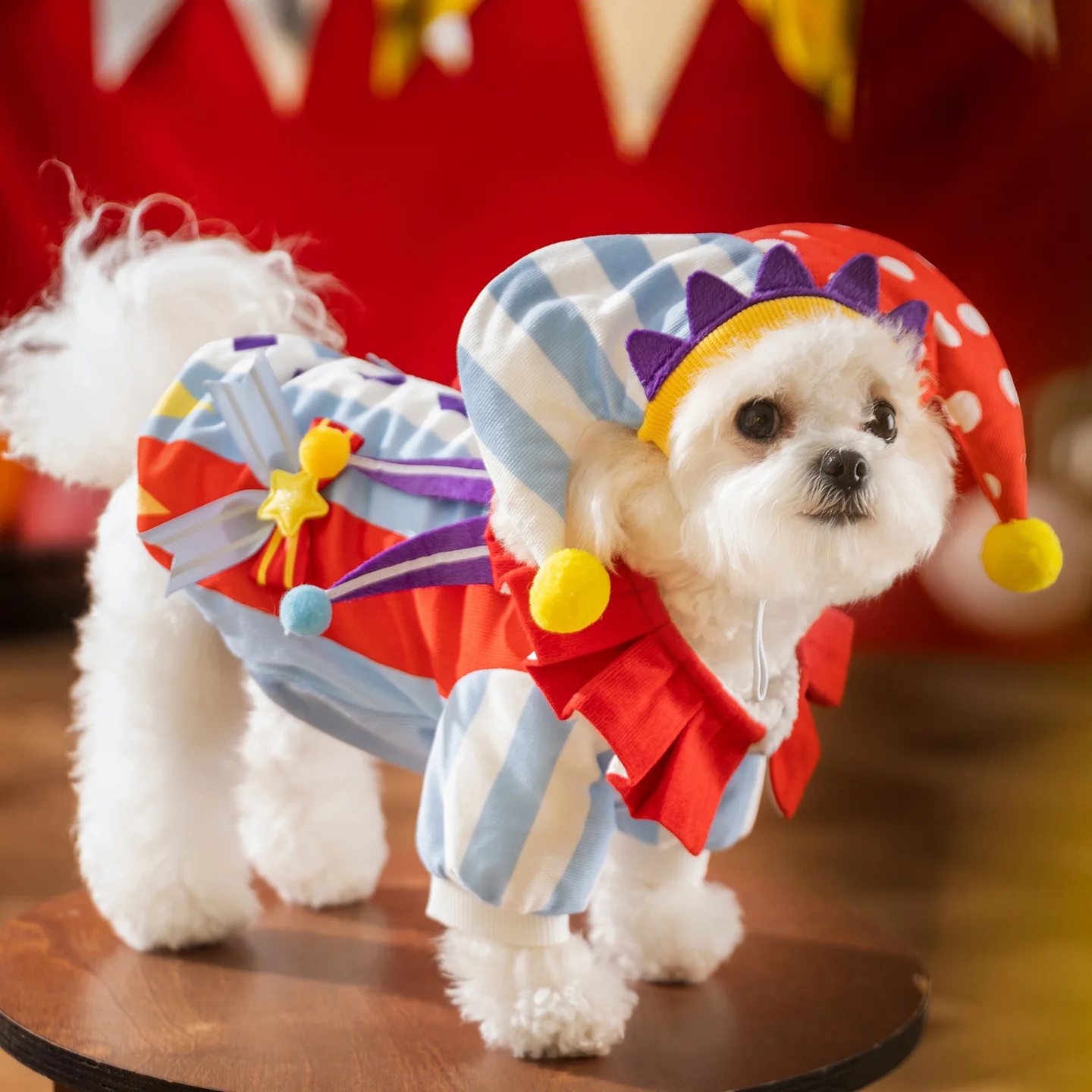Disfraz payaso Halloween para perro pequeño – Gorro y body calentito - imagen 3