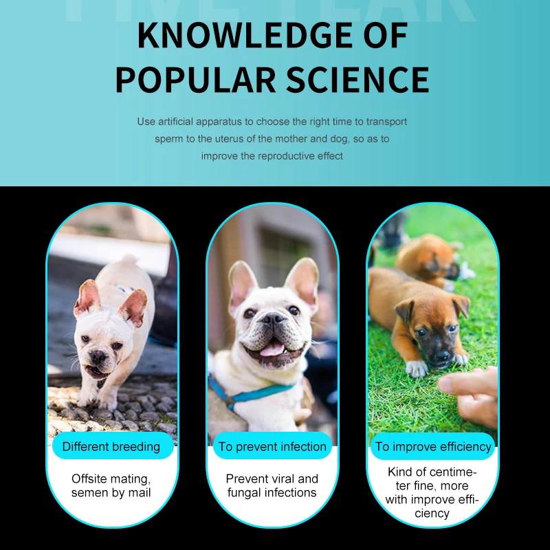 Deposición de Semen por inyección canina, inseminación Artificial, perro mascota, catéter de tubo de Vas Deferens desechable, 50 piezas, venta al por mayor - imagen 3