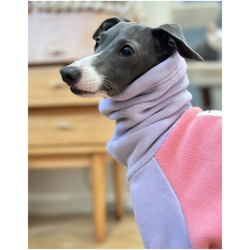 Whippet-ropa de cuello alto para perro, abrigo de forro polar cálido, pijama, mono, Galgo Italiano, Lurcher Galgo - imagen 3