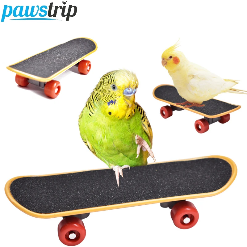 Juguete equilibrio y entreno para loros pequeños y medianos - imagen 4