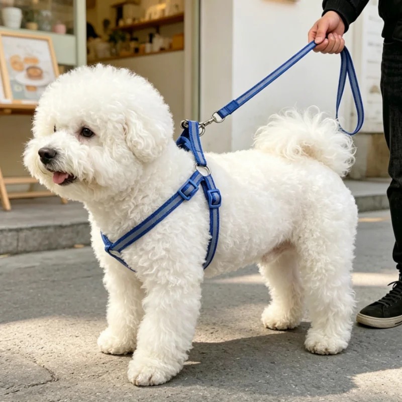 Arnés con correa reflectante para perro – Ajustable y cómodo - imagen 3