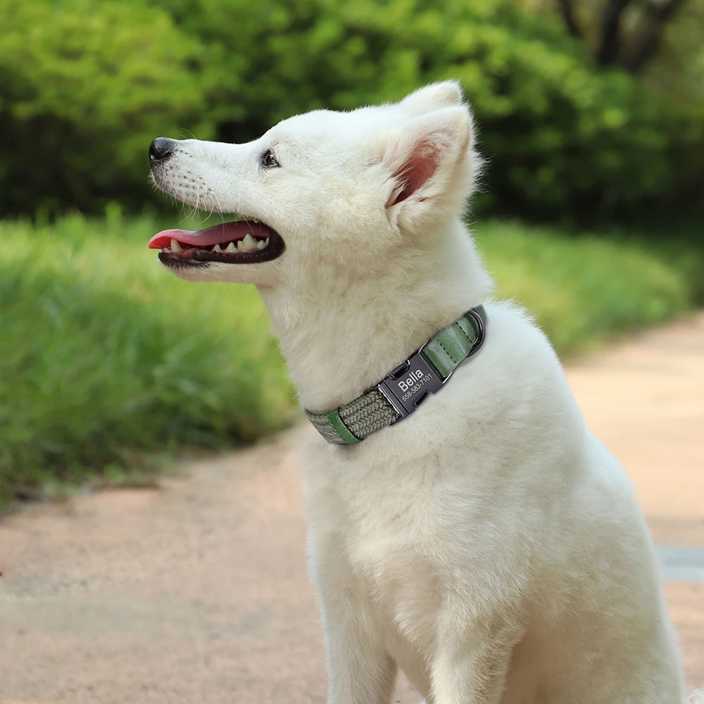 Collar nailon con placa identificativa para perro – Resistente y personalizable - imagen 5