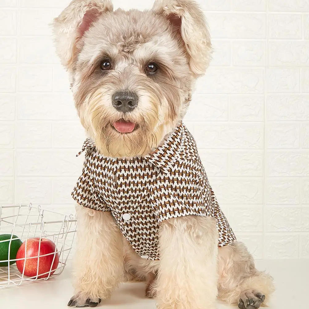 Traje antideformable para mascota, ropa decorativa, rejilla, cómoda - imagen 5