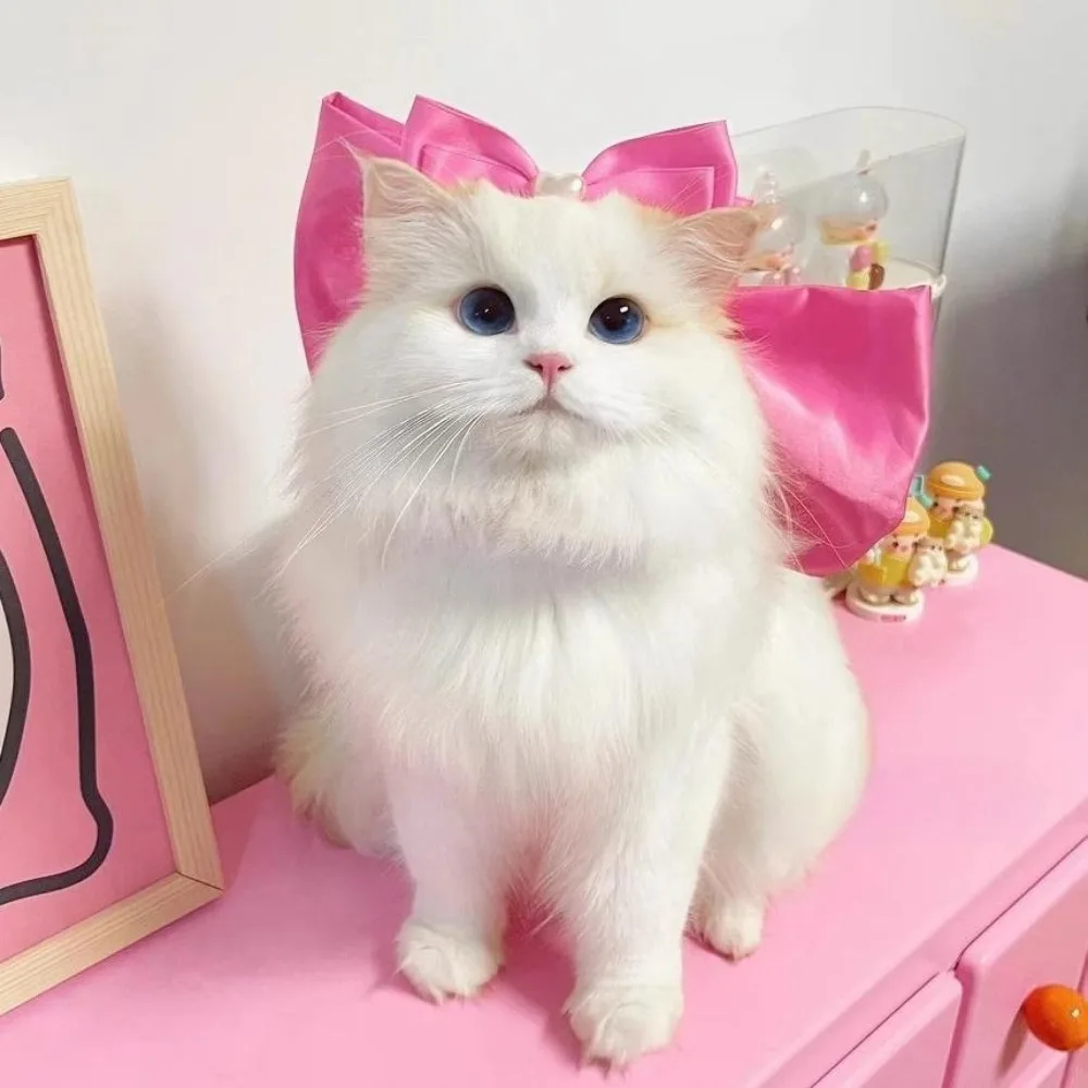 Pañuelo con lazo para mascotas, Collar para gatos, decoración con lazo, oso de peluche, Collar para perros pequeños, accesorios para perros pequeños, accesorios para cachorros - imagen 2