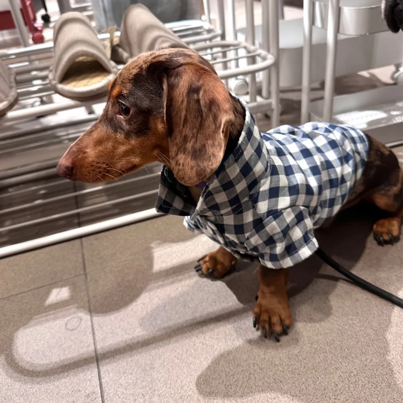 Abrigo de algodón a cuadros de manga larga para perros pequeños Wiener, abrigo de primavera y otoño para perros tejón, pijama suave, camisa para perros salchicha - imagen 3
