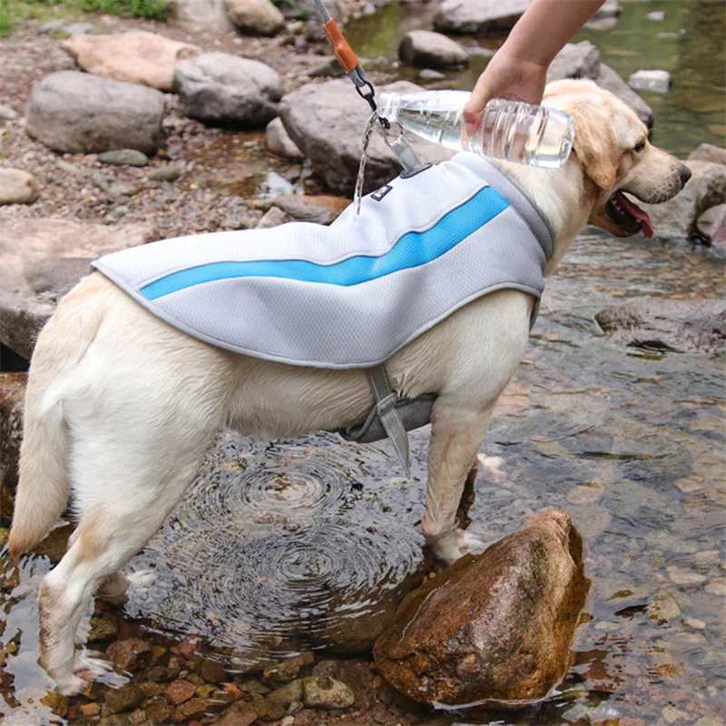 Chaleco de refrigeración por agua para perros grandes, chaqueta para perros medianos y grandes, ropa de refrigeración para mascotas con hebilla, Labrador Corgi, Verano - imagen 4