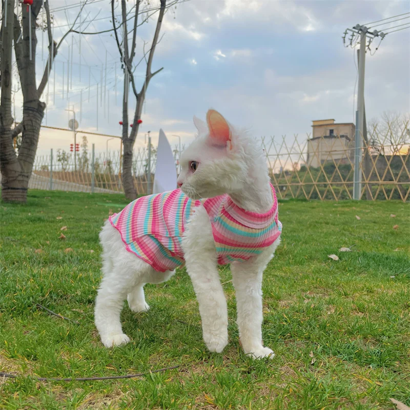 Ropa para gato hembra Camiseta arcoíris para gato sin pelo Verano Chaleco de algodón rosa para Sphinx Cat Devon Ropa de estar por casa rizada en primavera Mono fresco para cachorros en clima cálido - imagen 5