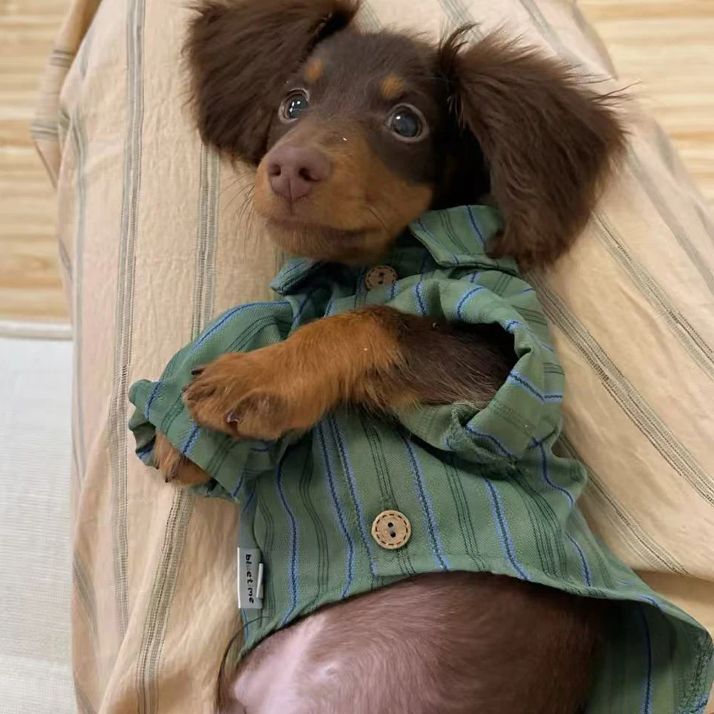 Camisa a rayas verdes para perro salchicha con corbata - Primavera - imagen 5