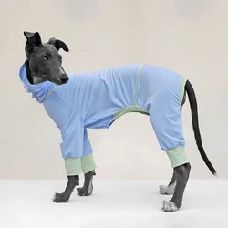 Camiseta refrescante Whippet y galgos – Protección insectos verano