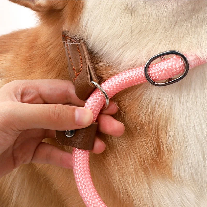 Correa ajustable anti-tirón para perros, cuerda de nailon reflectante para correr al aire libre, caminar, playa y hacer senderismo, ajuste seguro para cachorros - imagen 2
