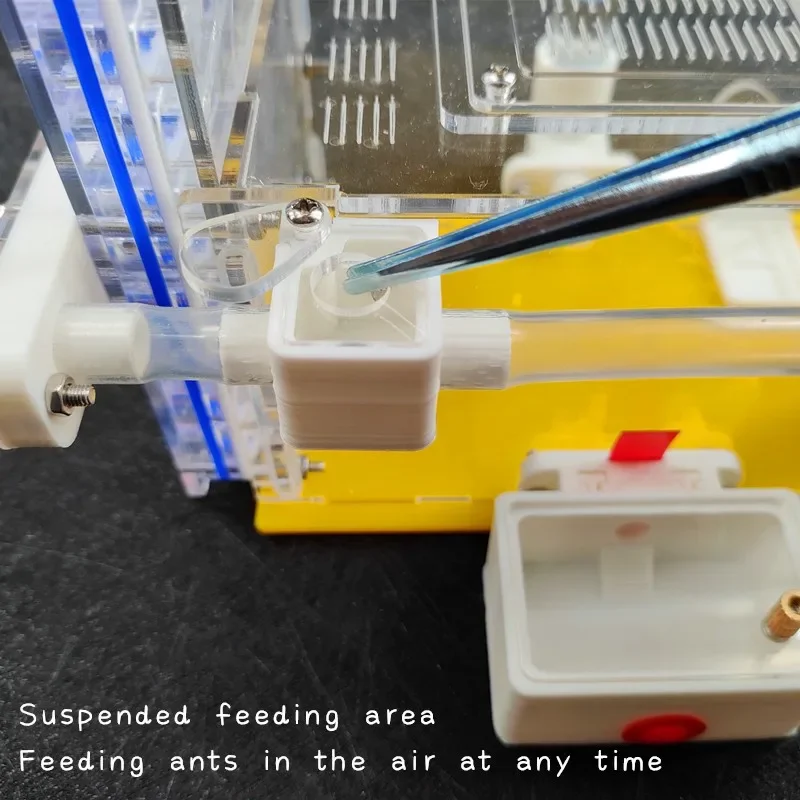 T diseño DIY granja de hormigas con área de alimentación nido de hormigas acrílicas casa de hormigas de insectos Villa antill taller de mascotas mania para casa hormiga - imagen 5