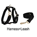 Harness   leash