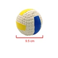Volleyball L