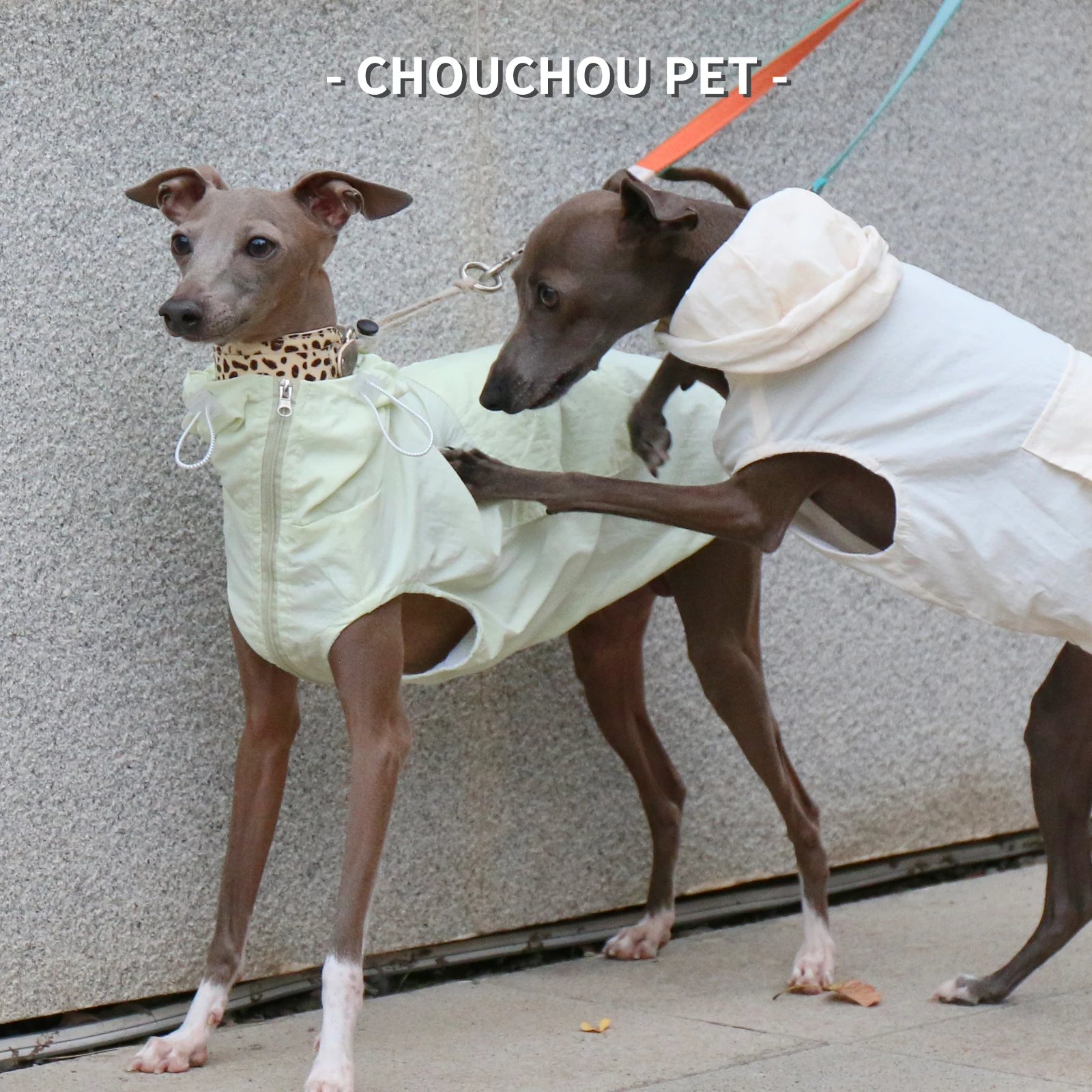 Otoño galgo Whippet Iggy chaleco con capucha para mascotas impermeable e impermeable ropa para perros con cremallera ajustable