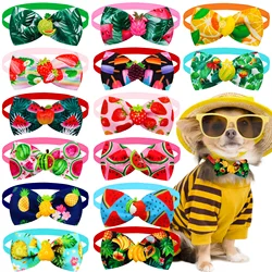 Pajaritas para collar de gatos y perros – Estilo primavera
