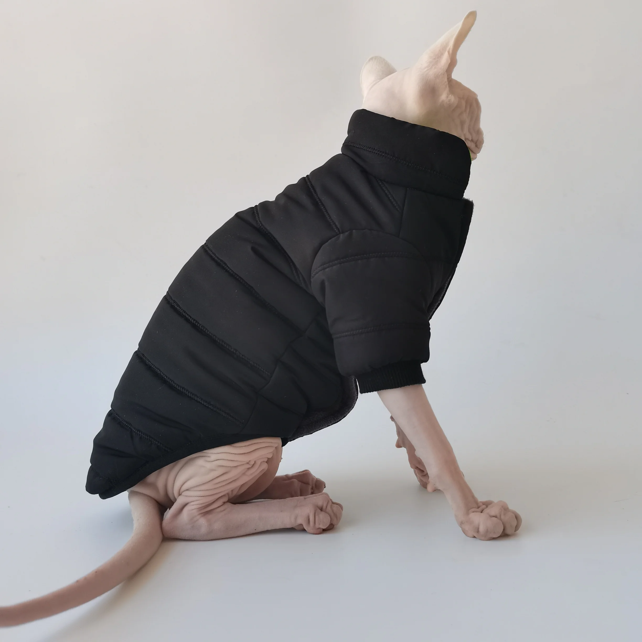 Chaqueta de invierno para gatos Sphynx y Devon Rex – Cuello alto - imagen 3