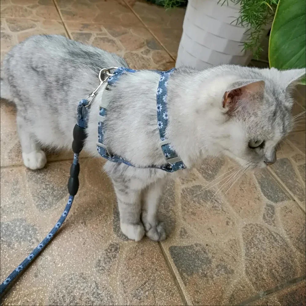 Arnés y correa ajustables de estilo japonés para mascotas, accesorios para cachorros, perros y gatos, Sphynx - imagen 3