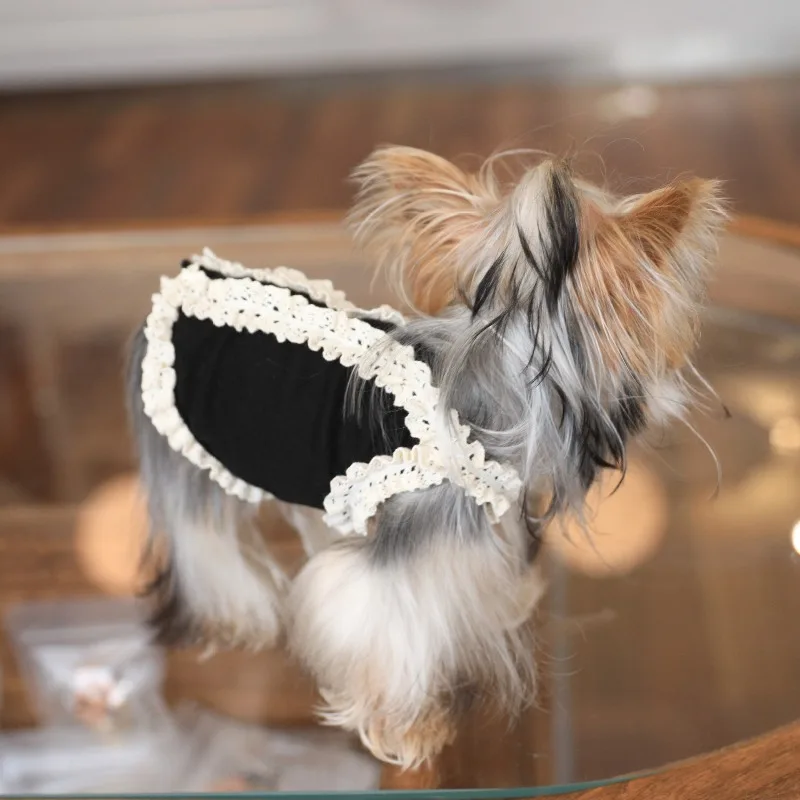 Ropa para perros pequeños, ropa de lujo para cachorros, cosas para perros Chihuahua de otoño, chaleco para mascotas, suministros de productos para mascotas de algodón para gatitos y gatos de verano - imagen 3