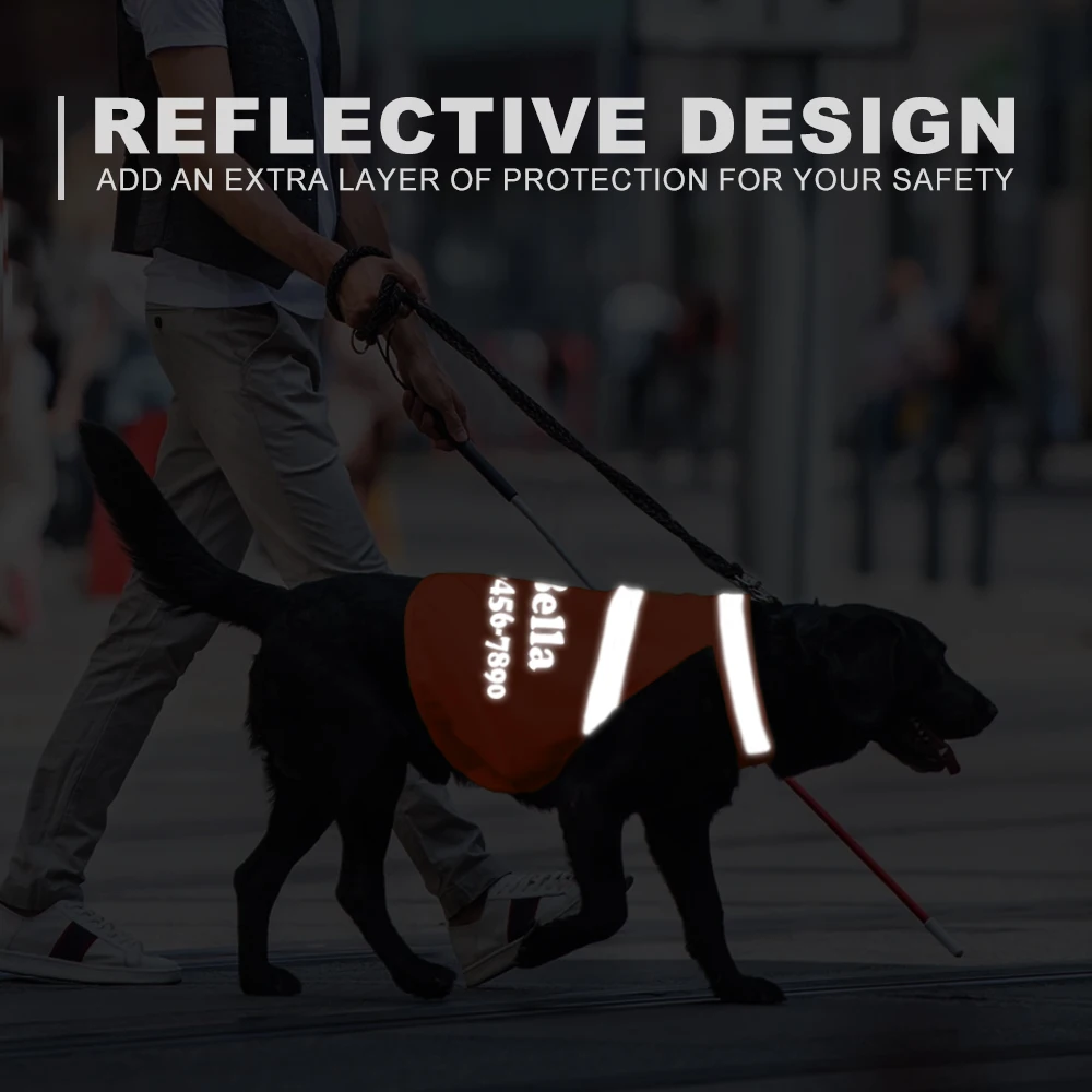 Ropa personalizada para perros, nombre impreso gratis, número Tel, ropa para perros, chaleco reflectante de seguridad para mascotas, disfraz de visibilidad nocturna para caminar para perros - imagen 5