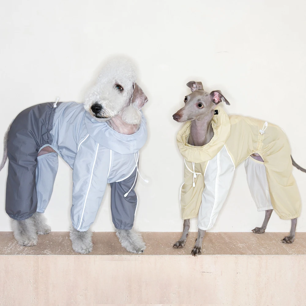 Chaqueta de Verano para Galgo Italiano UPF50+ Impermeable y Ligera - imagen 4