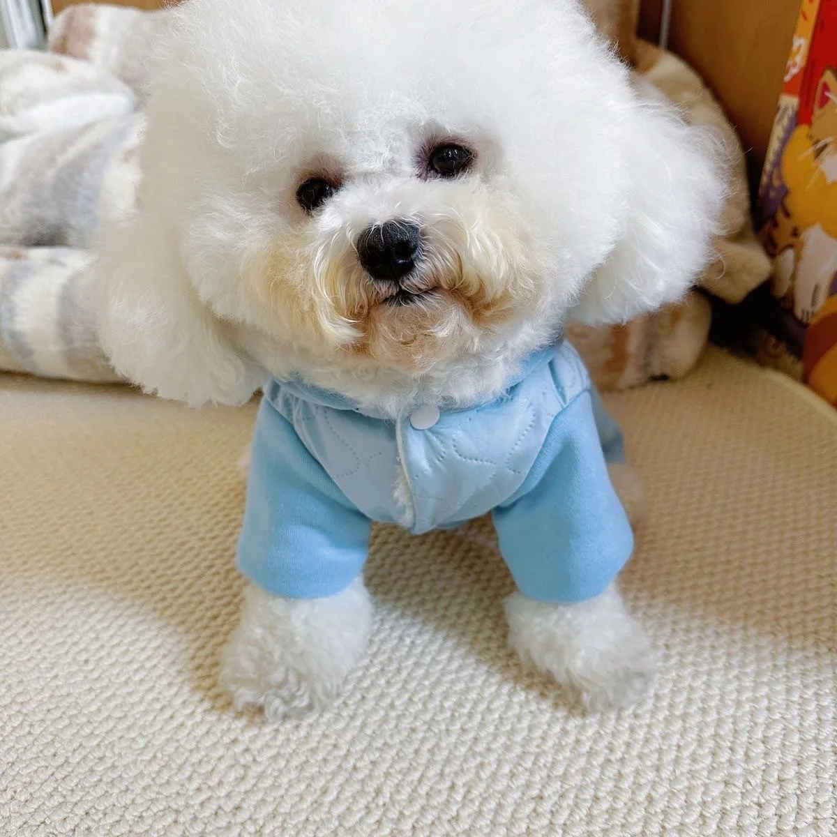 Lindos pantalones de cuatro patas con capucha para mascotas para otoño e invierno, gato de peluche para perros, ropa cálida de cuatro patas en comparación con el mono de oso - imagen 2