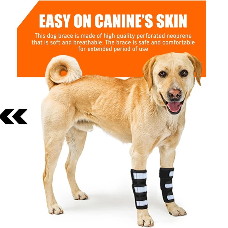 Suministros para mascotas, mallas para perros, tiras reflectantes, rodilleras para perros, rodilleras con cubierta para articulación de pierna - imagen 5