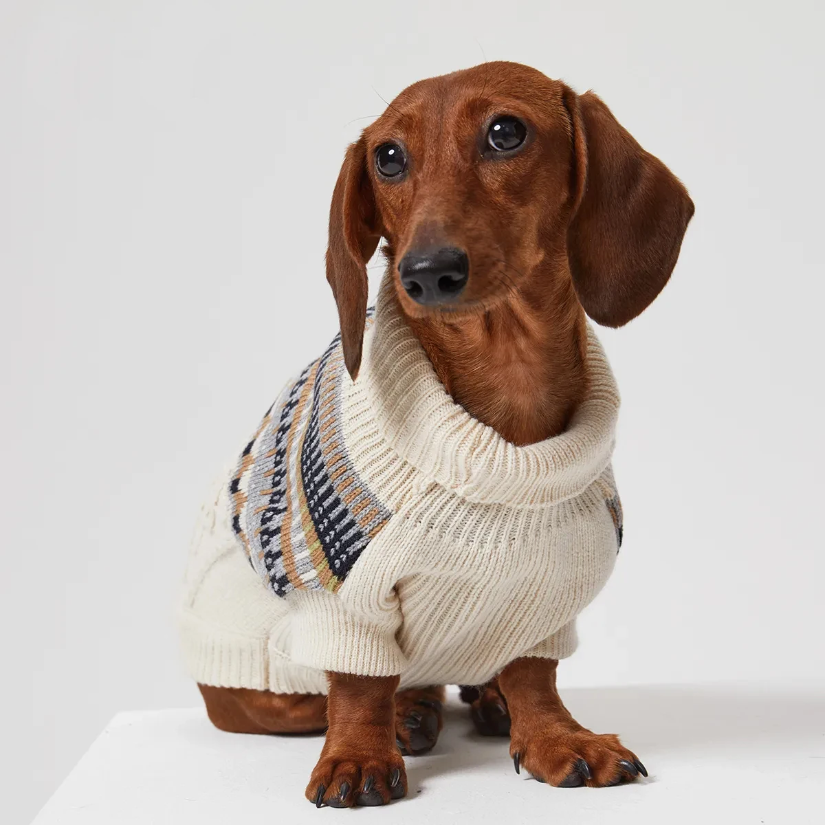 Suéter Retro de estilo británico para perros Wiener, chaleco grueso y suave de invierno para perros salchicha, abrigo de moda para perros pequeños y medianos de tejón - imagen 3