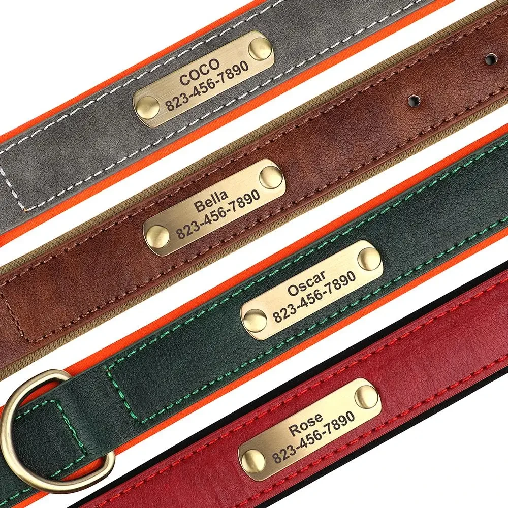 Collar personalizado para perro acolchado con placa y grabado gratis - imagen 2