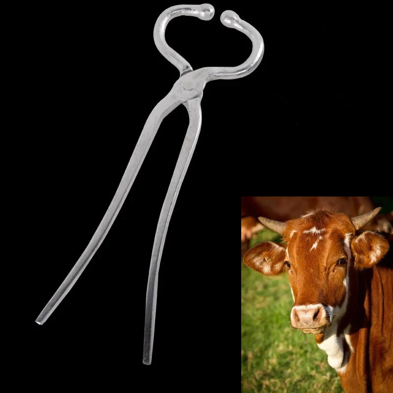 Alicates de nariz de ganado y toro, Clip de nariz de vaca, herramientas de perforación, alicates de perforación de acero inoxidable, herramientas de granja Ranch, 1 ud. - imagen 3