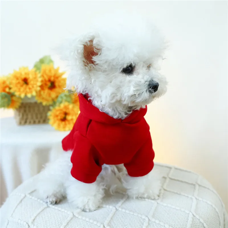 Marca ABQP - Calidad y confianza