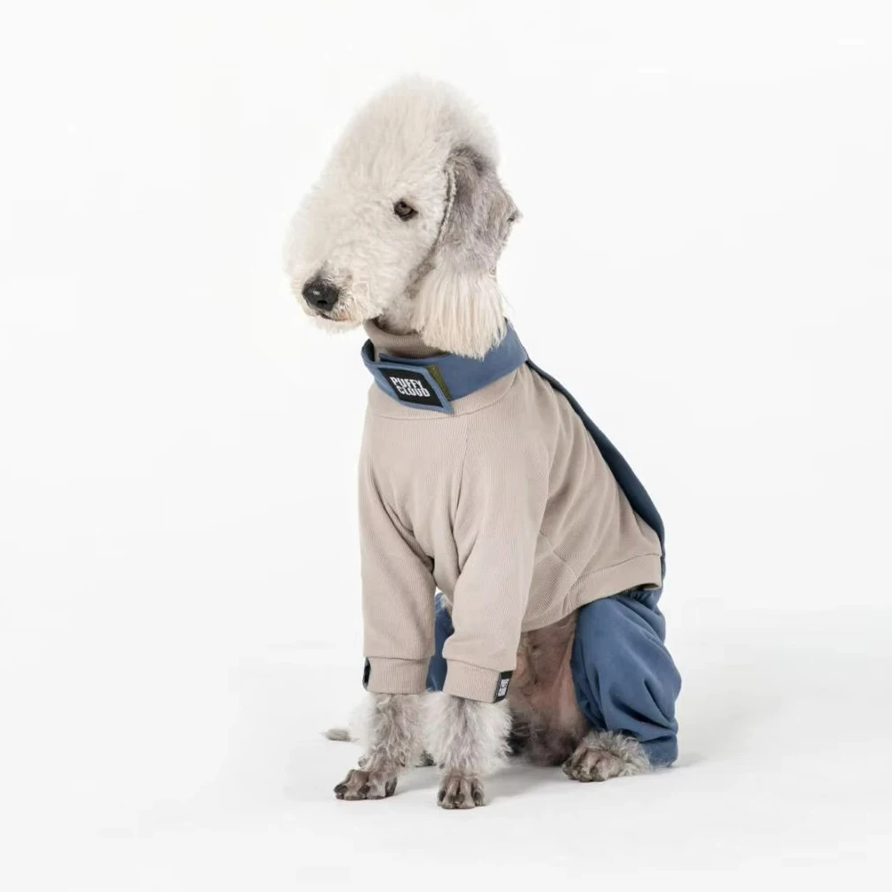 Conjuntos de ropa para perros Whippet Berlington Terrier, ropa de retales de lujo para galgo italiano en primavera e invierno