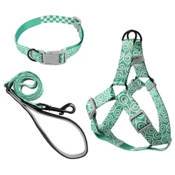 Juego de arnés, collar y correa para perros - set práctico para paseos