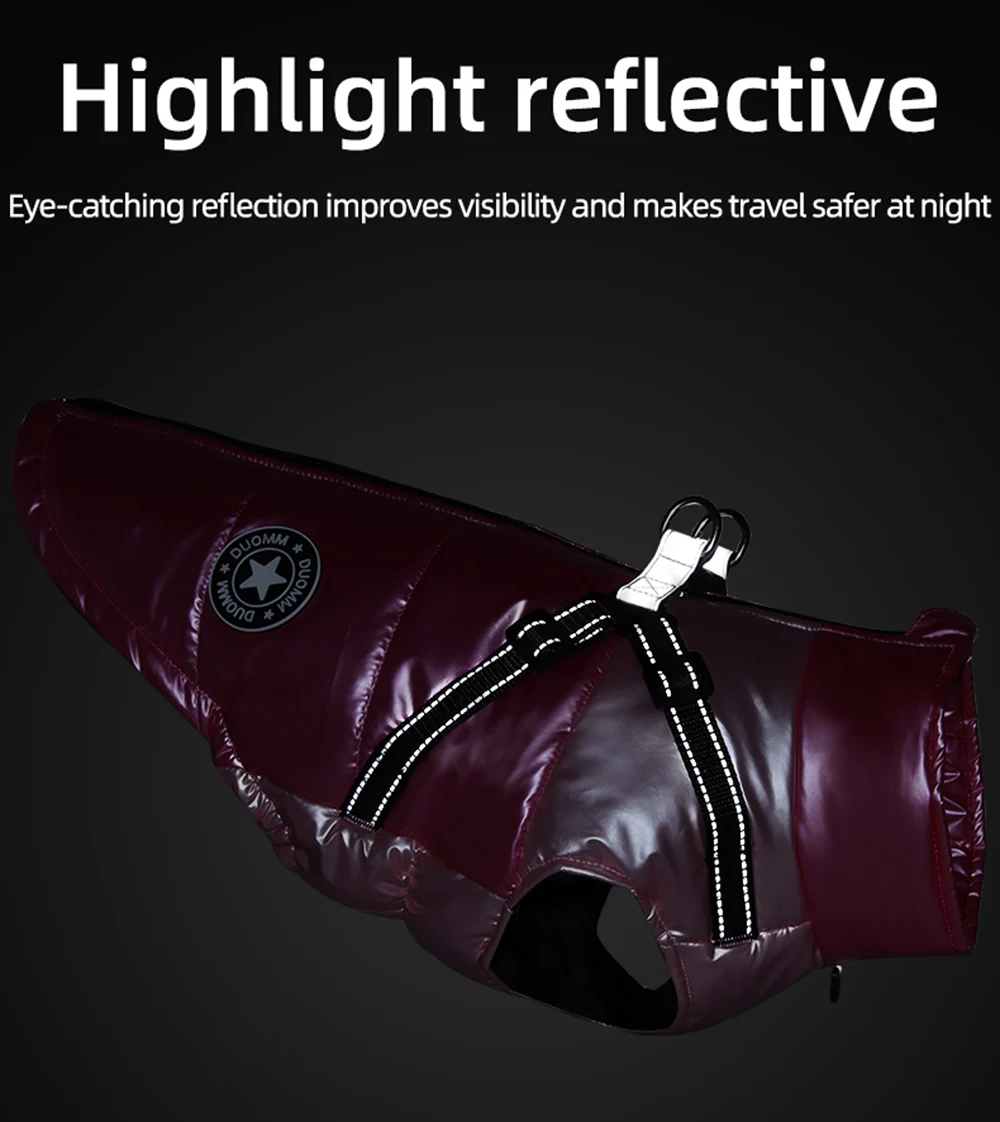 Diferentes colores disponibles del abrigo - variedad