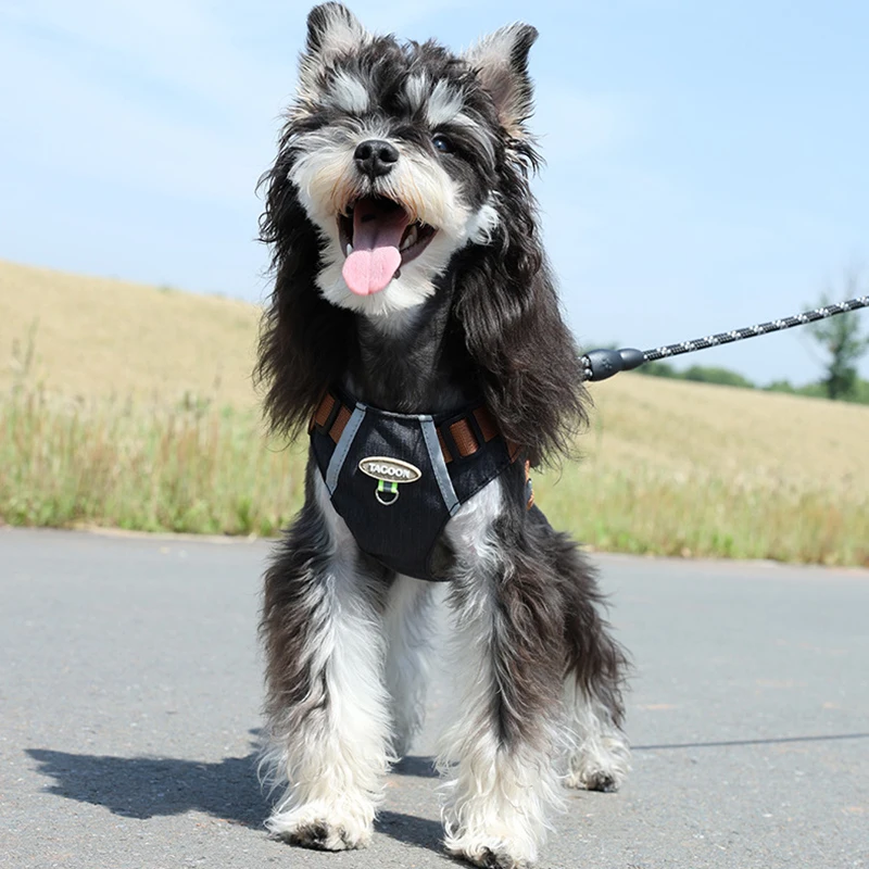 BOOTEELY Arnés de Bulldog Francés Chaleco Ajustable para Mascotas Reflectante Verano Transpirable Shiba Inu Arnés Contiene Golosinas - imagen 4