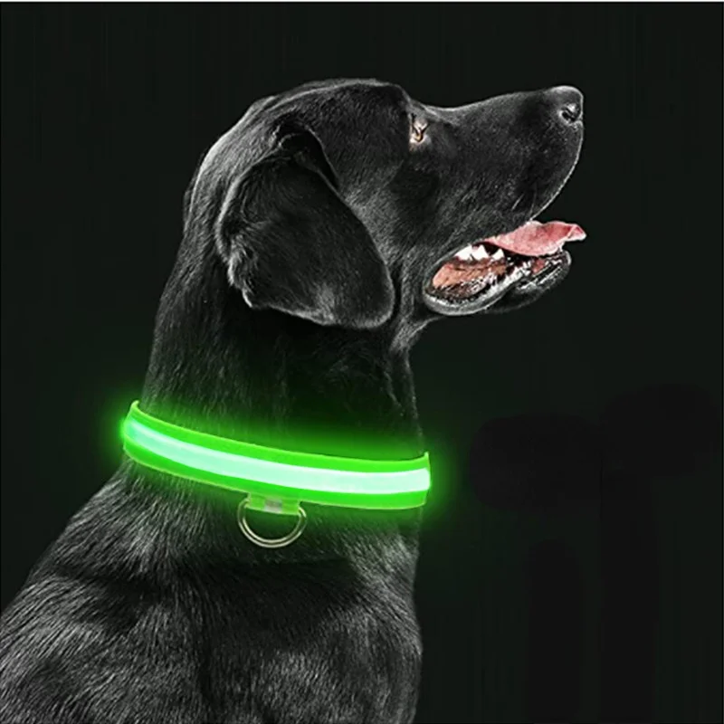 Collar con luz LED brillante para perro pequeño, accesorio con iluminación intermitente ajustable, antipérdida nocturna, productos para mascotas