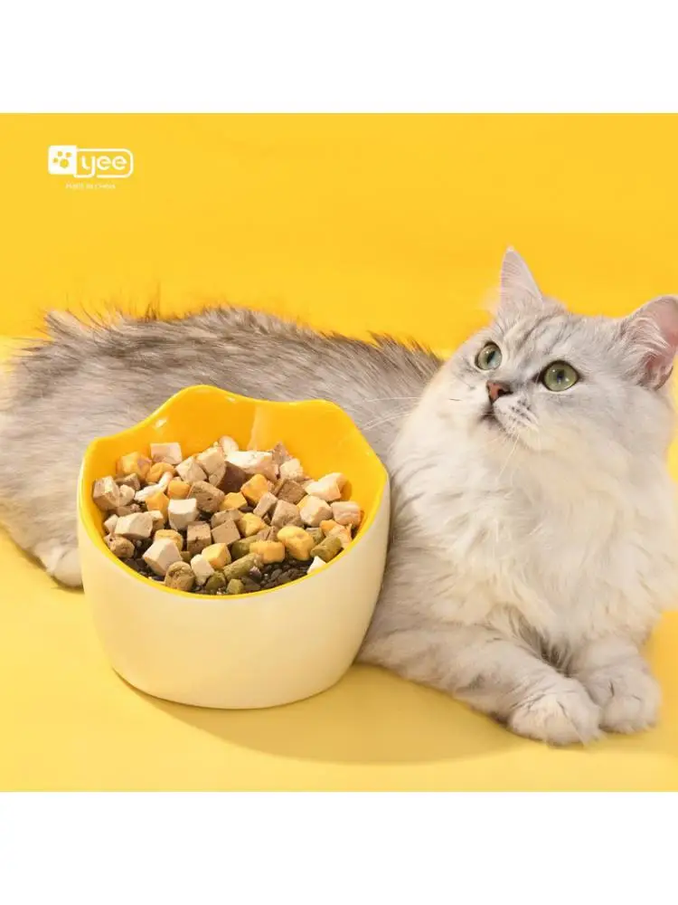 El cuenco de cerámica para comida para gatos protege las vértebras cervicales de los molestos 400ml de gran capacidad y fácil de limpiar - imagen 5