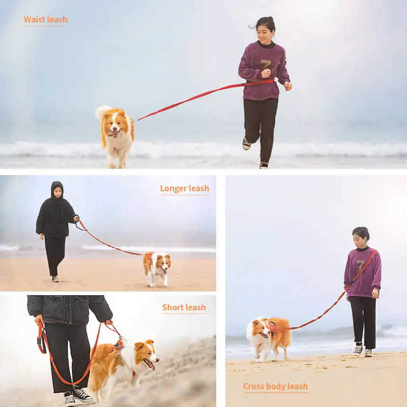 Winhyepet-Cinturón de seguridad de coche para perro, correa retráctil de manos libres de alta calidad, cinturón de cintura ajustable, correa elástica para correr - imagen 5