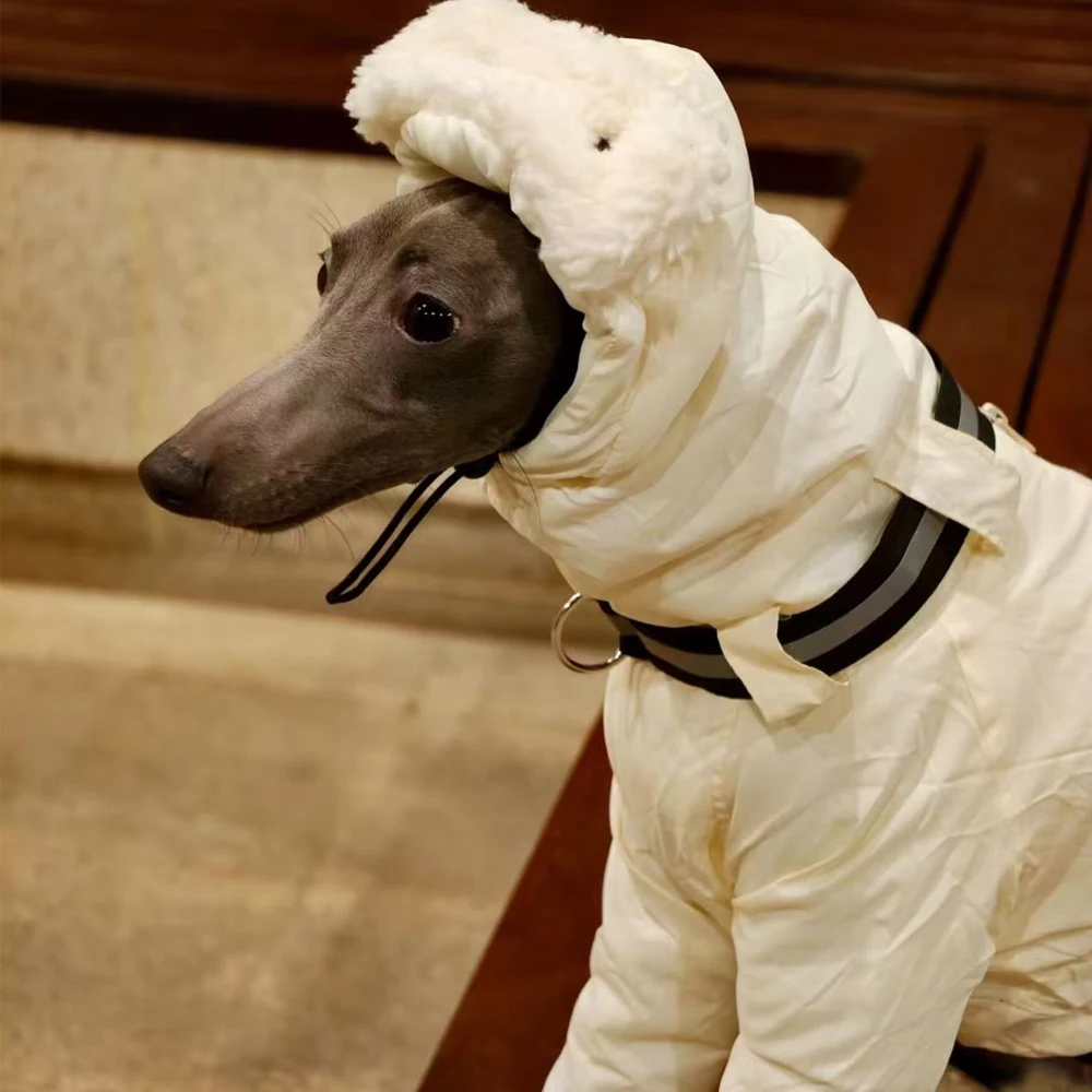 Sudadera de invierno para perros: Galgo Italiano y Whippet mediano - imagen 5